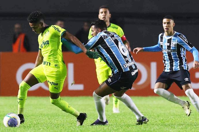 Nhận định, soi kèo Palmeiras vs Gremio, 7h30 ngày 9/11: Bám đuổi ngôi đầu