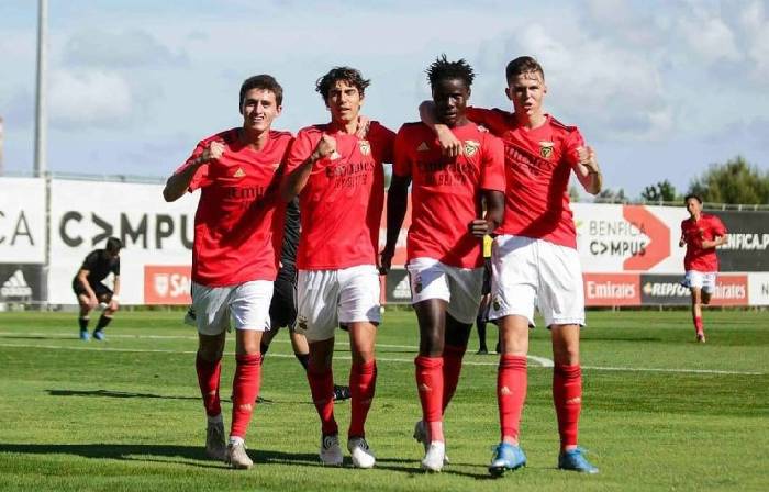 Nhận định, soi kèo Benfica U19 vs Bologna U19, 17h00 ngày 11/12: Điểm tựa sân nhà